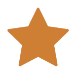Bronze Star 150x150 1